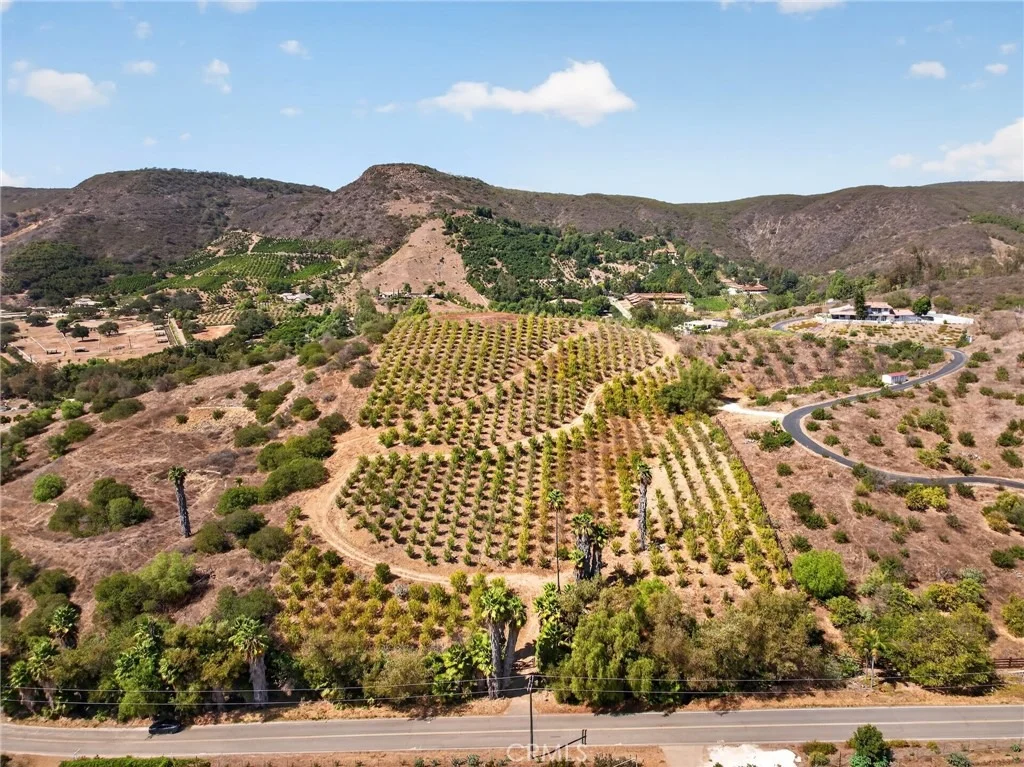 Photo of 16 Terreno