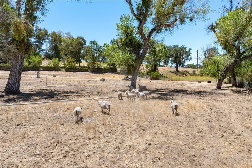 Photo of 5750 El Pharo
