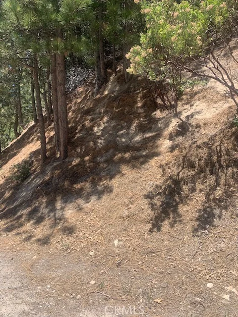 Photo of 27346 N Bay Rd