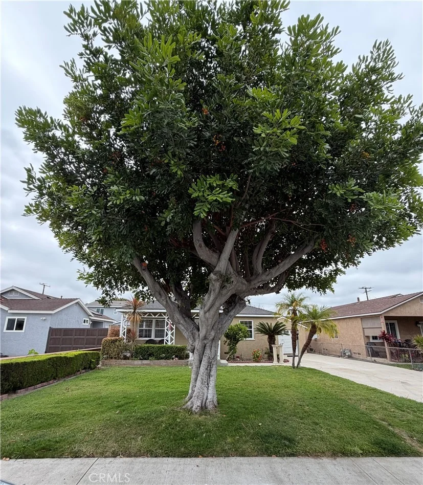Photo of 5552 Vonnie