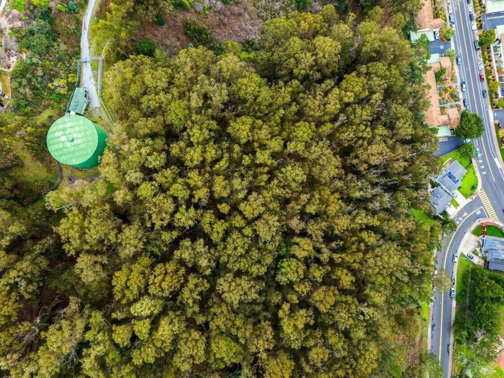 Photo of 0 Everglades Drive