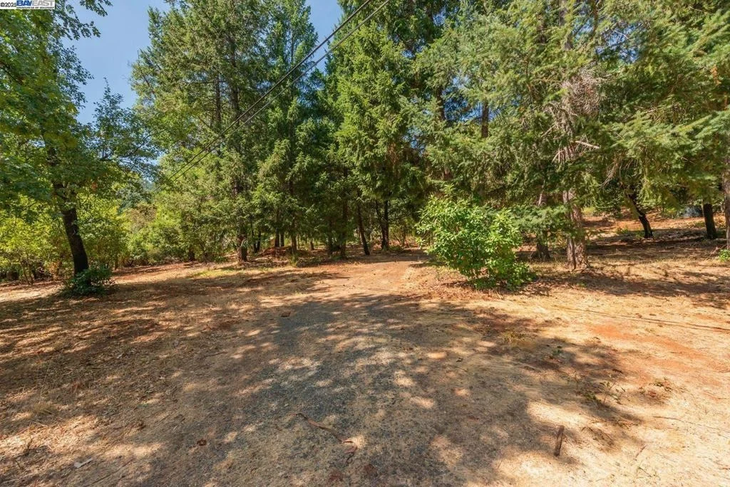 Photo of 171 Connor Creek Rd