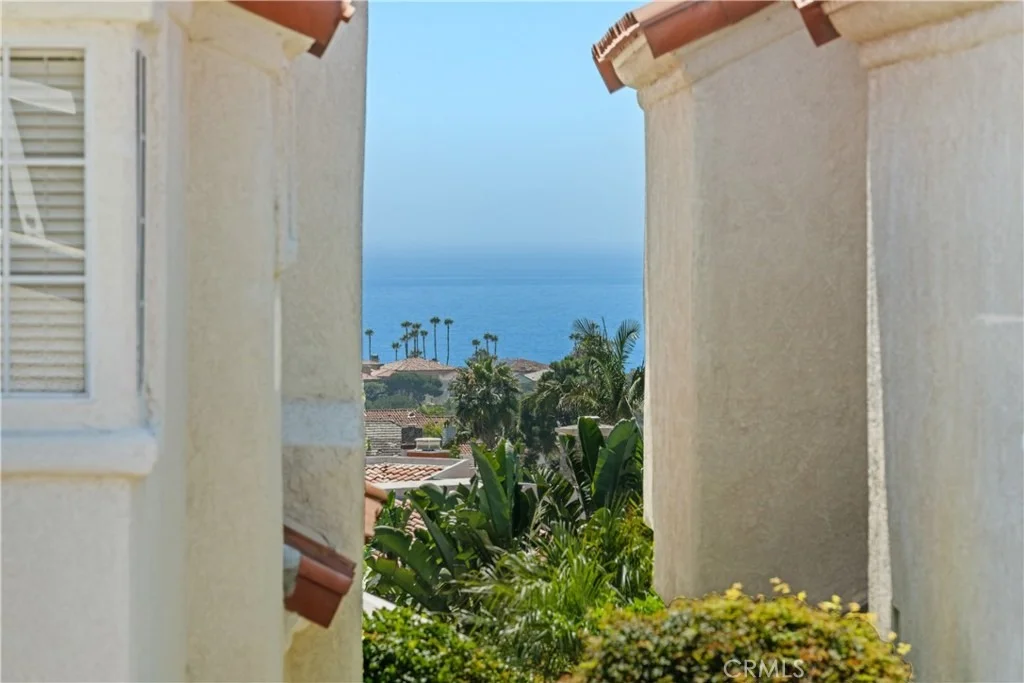 Photo of 28 Saint Kitts