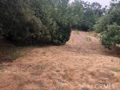 Photo of 3708 Richardson Drive