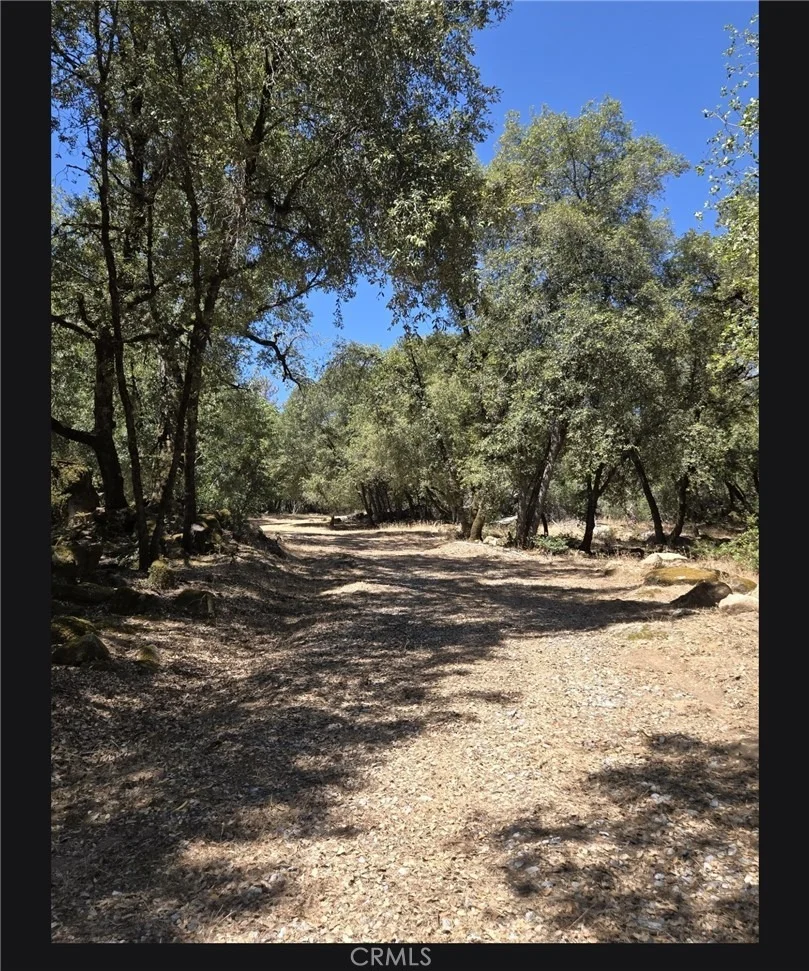 Photo of 1371 Moccasin Trail