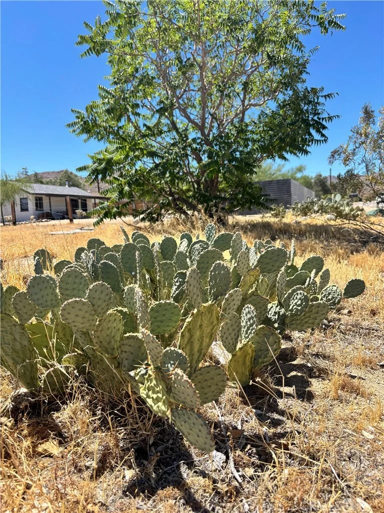 Photo of 62027 Valley View Circle