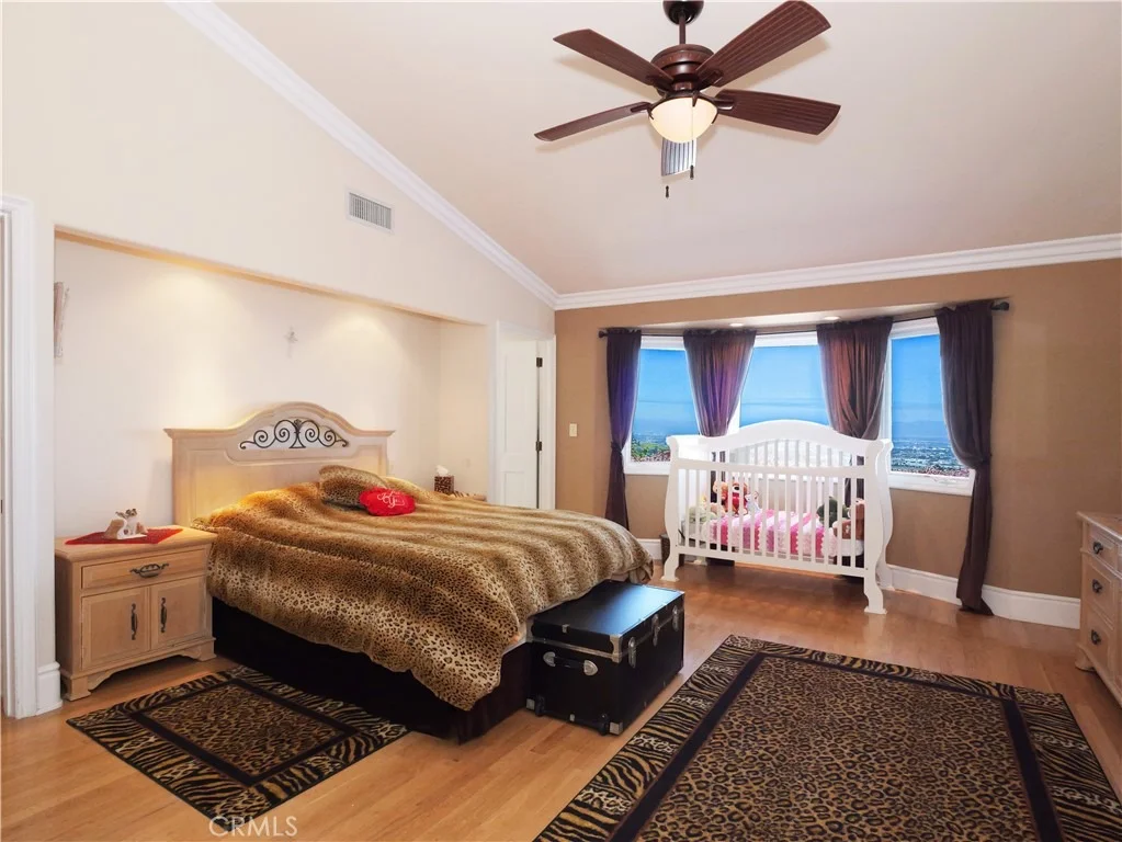 Photo of 49 Saddleback
