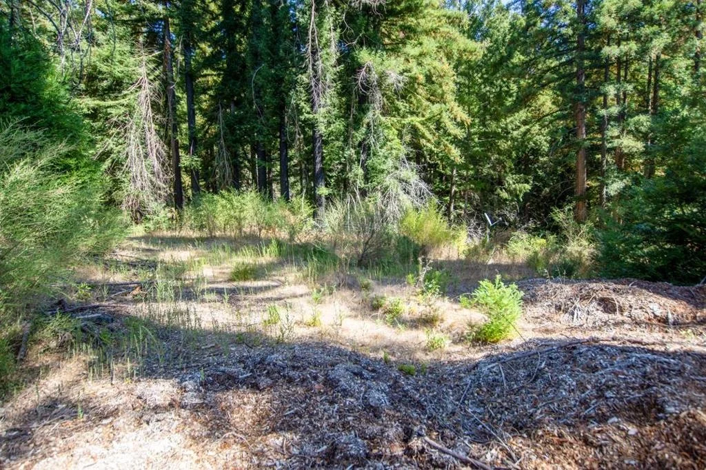 Photo of 19145 Big Basin Way