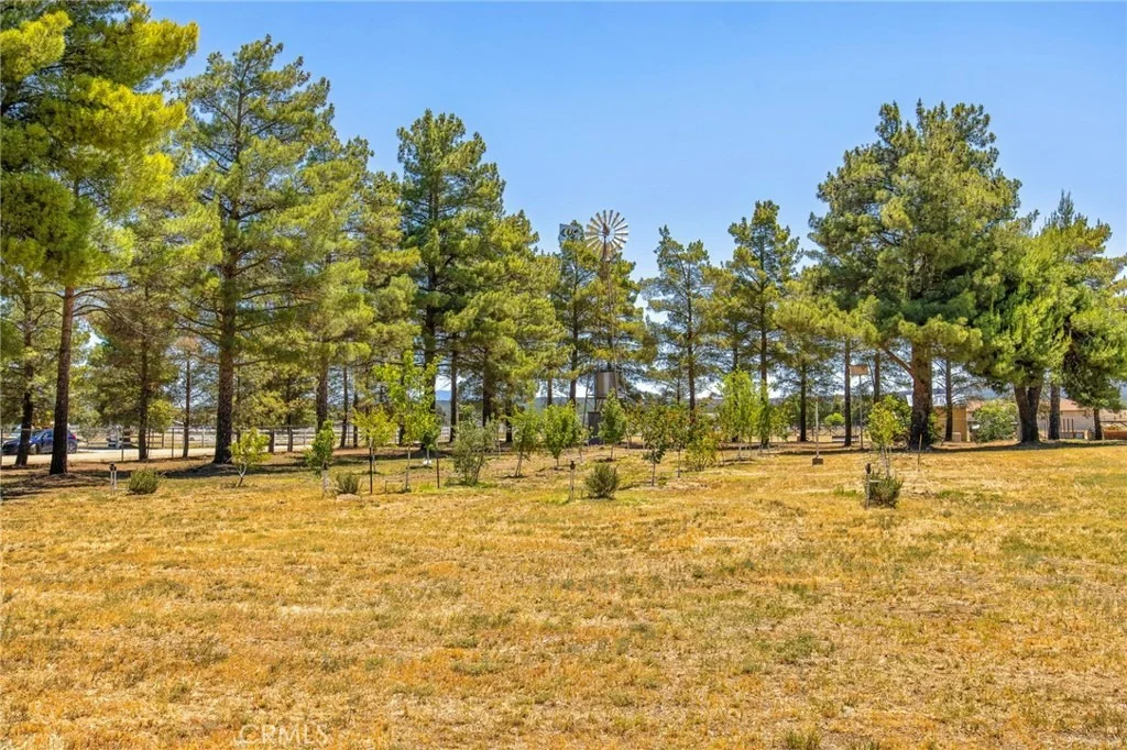 Photo of 49585 Flightline Way