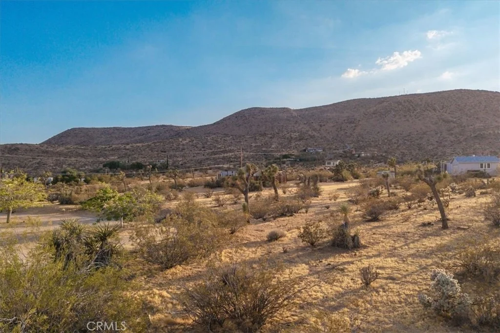 Photo of 58814 Los Coyotes