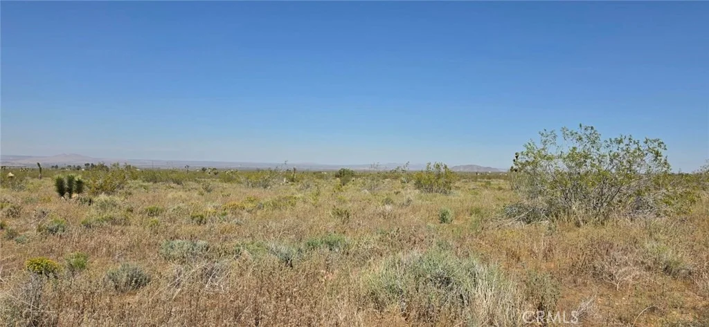 Photo of 0 173rd E W-12