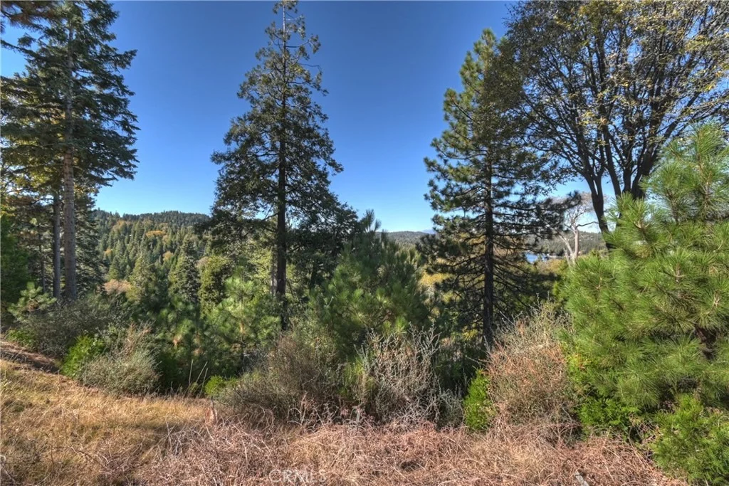 Photo of 115 Mill Pond