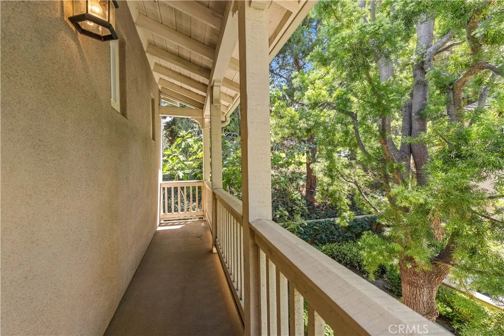 Photo of 97 Canopy