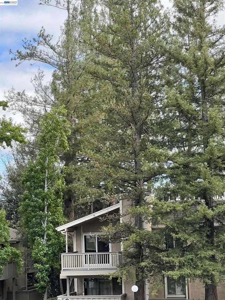 Photo of Unit C8 at 5455 Kirkwood Dr