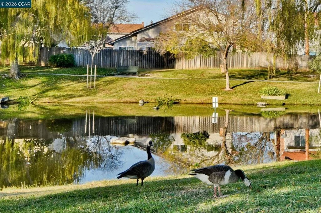 Photo of 1284 Pinecrest Dr