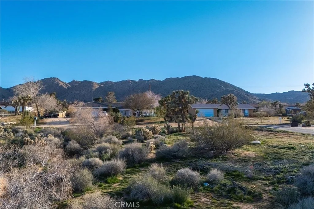 Photo of 60432 Latham Trail