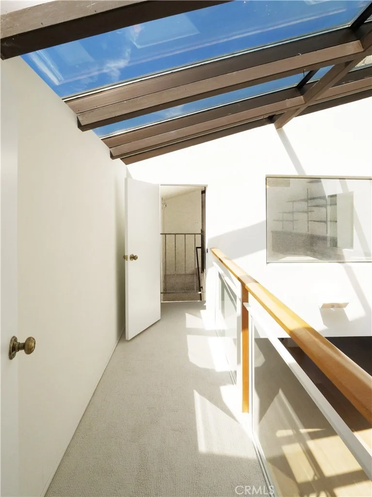 Photo of 57 Saddleback