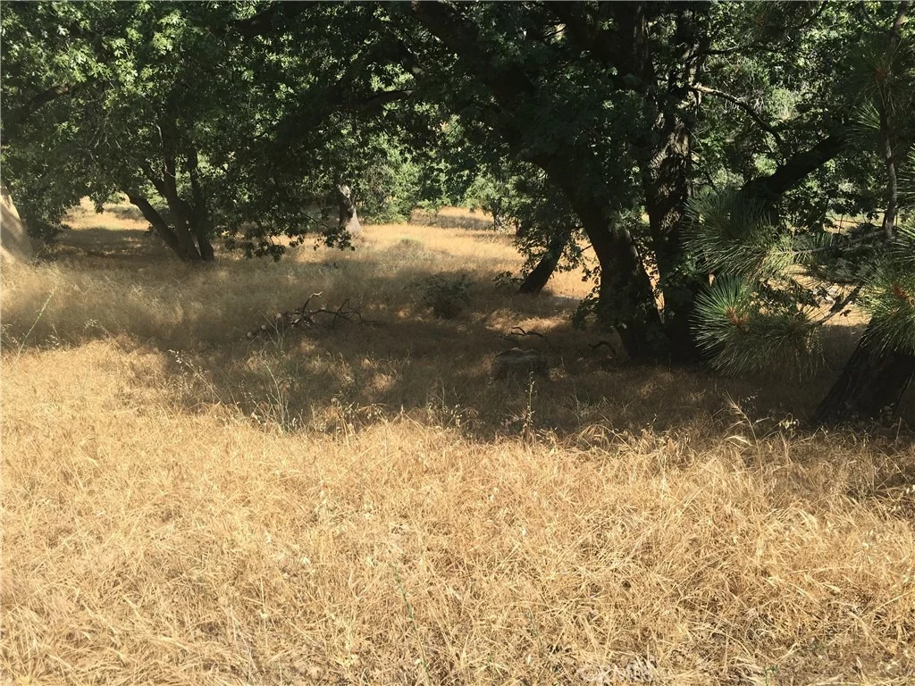 Photo of 30481 Live Oak