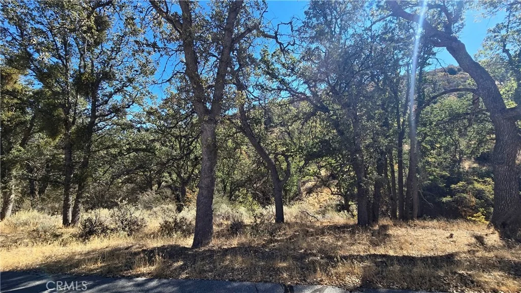 Photo of 0 Saint Moritz Drive