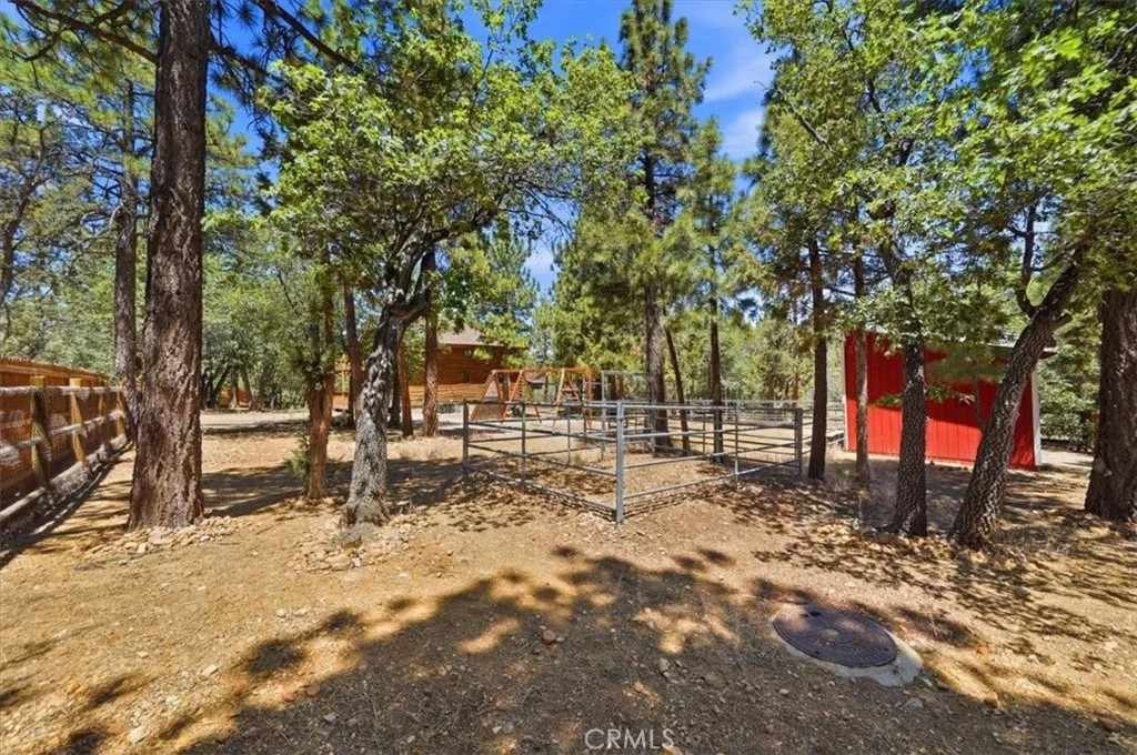 Photo of 355 Dixie Lee