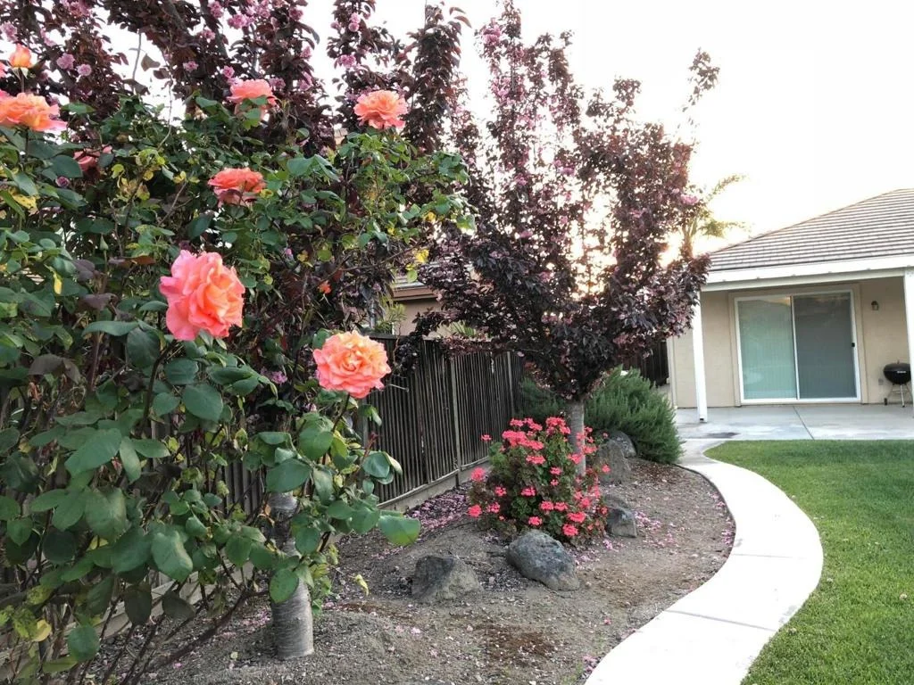 Photo of 10658 Willow Glen Circle