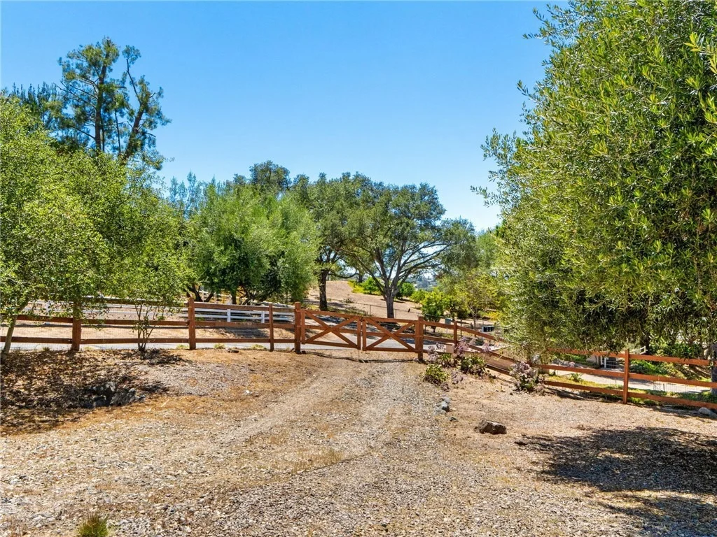 Photo of 2248 Mil Sorpresas