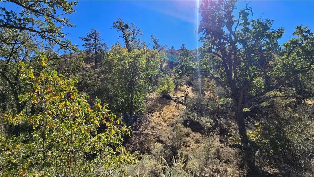 Photo of 0 Saint Moritz Drive