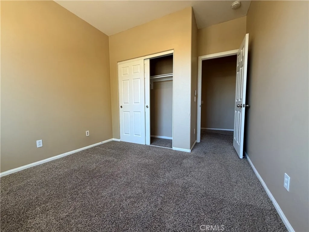 Photo of 3136 Hibiscus