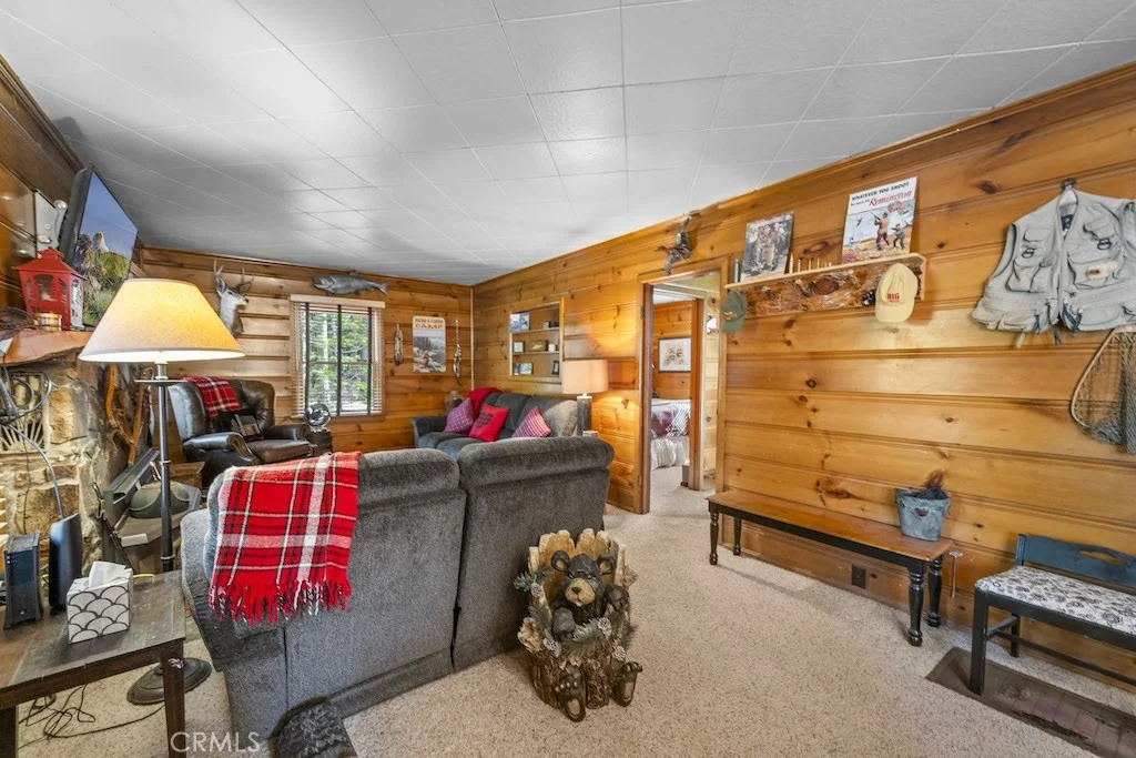 Photo of 39161 Buckthorn