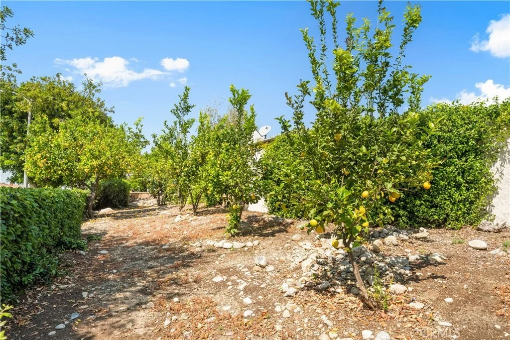 Photo of 1400 Blossom
