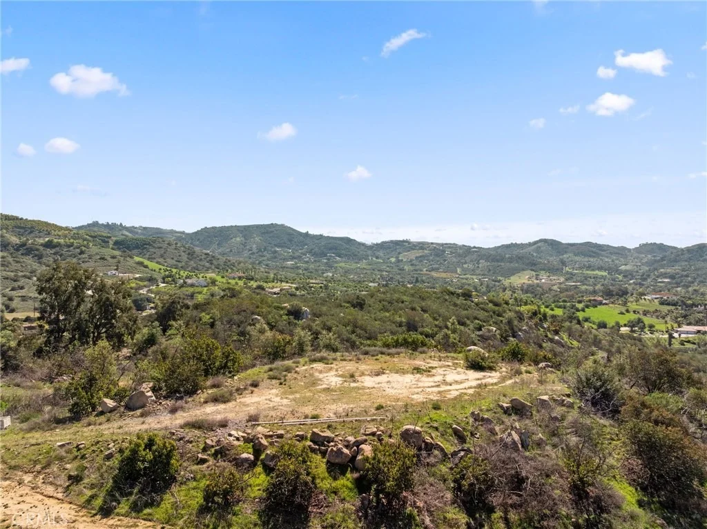 Photo of 2 Las Palmeras