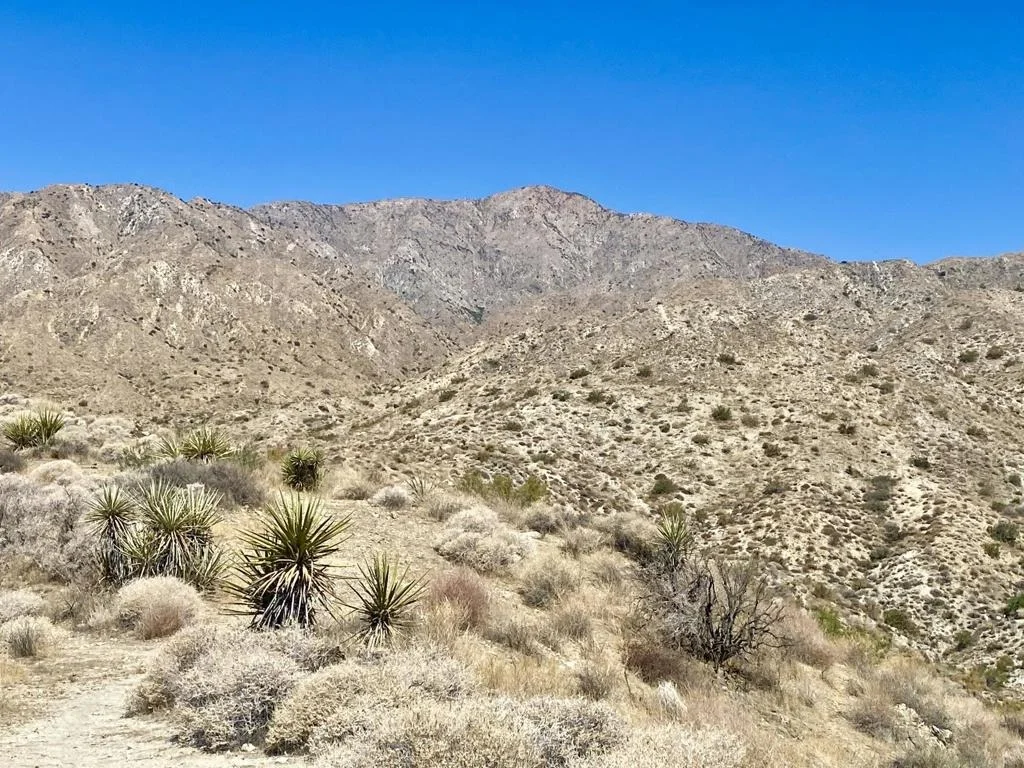 Photo of 51170 Panorama Drive