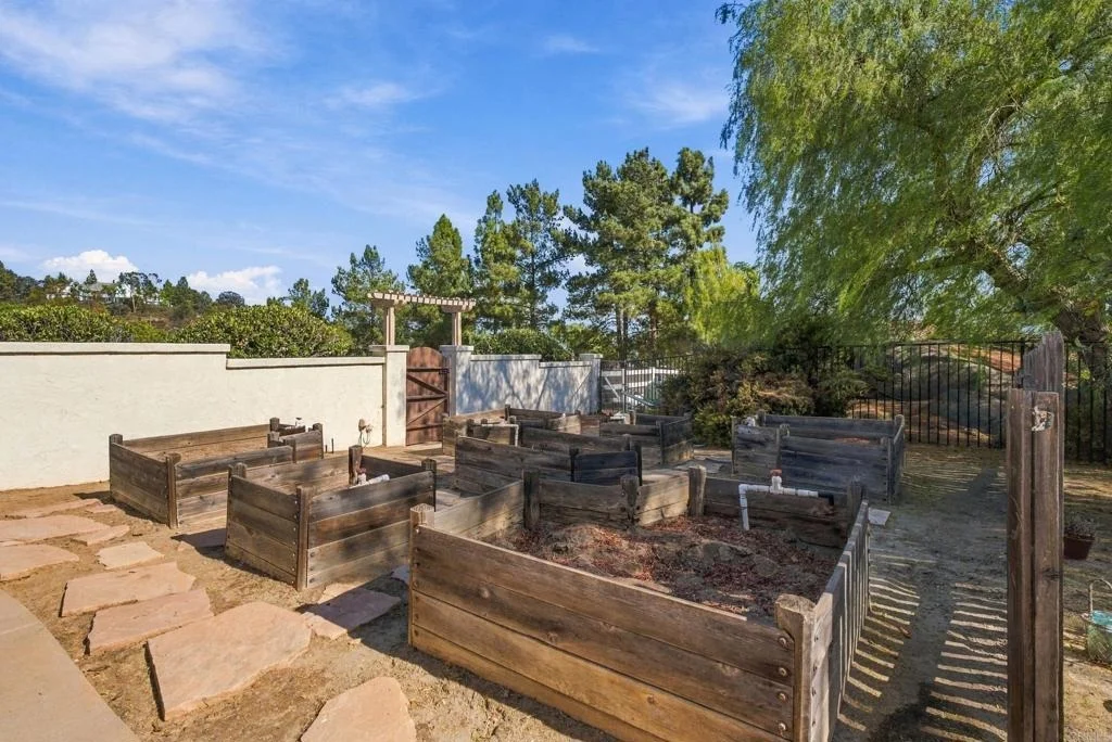 Photo of 2167 Collomia