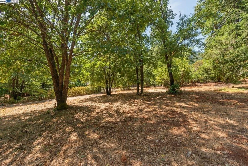 Photo of 171 Connor Creek Rd