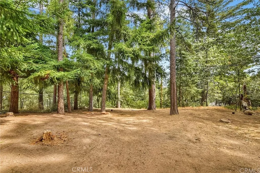 Photo of 471 Willow Witch