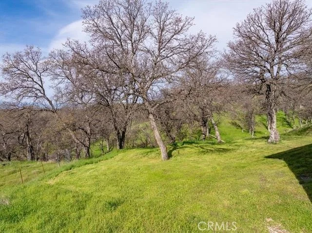 Photo of 18920 Reeds Creek Road