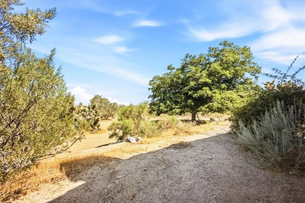 Photo of 1397 Sierra
