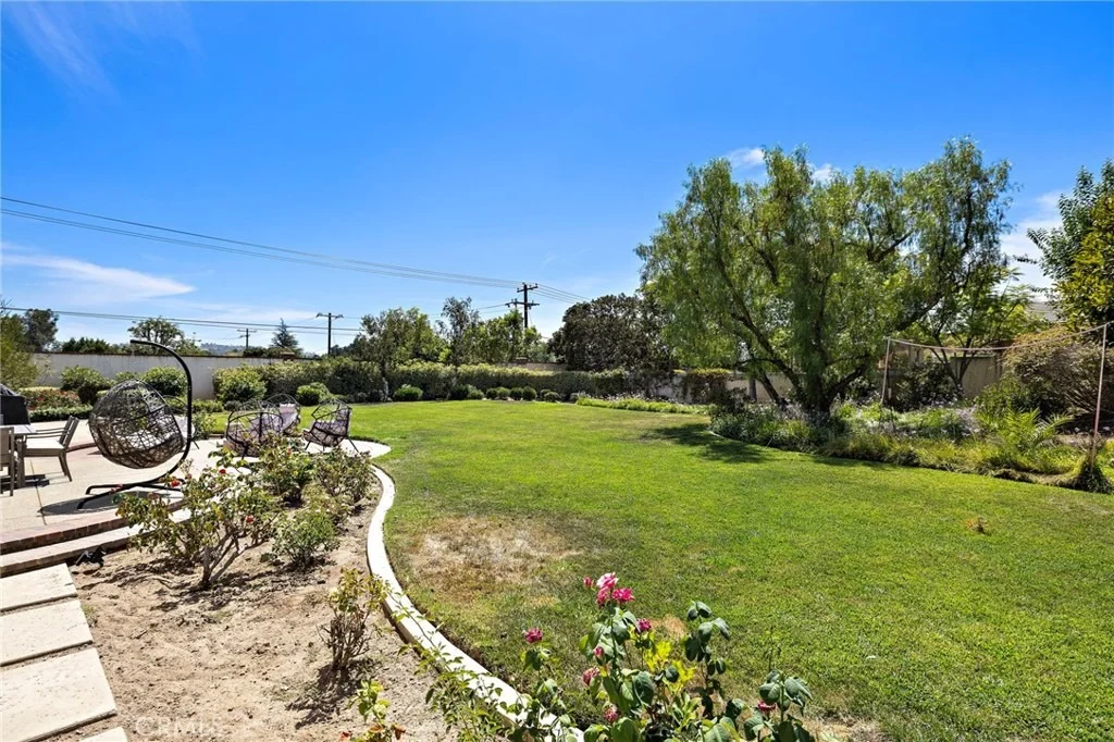 Photo of 1582 White Alder