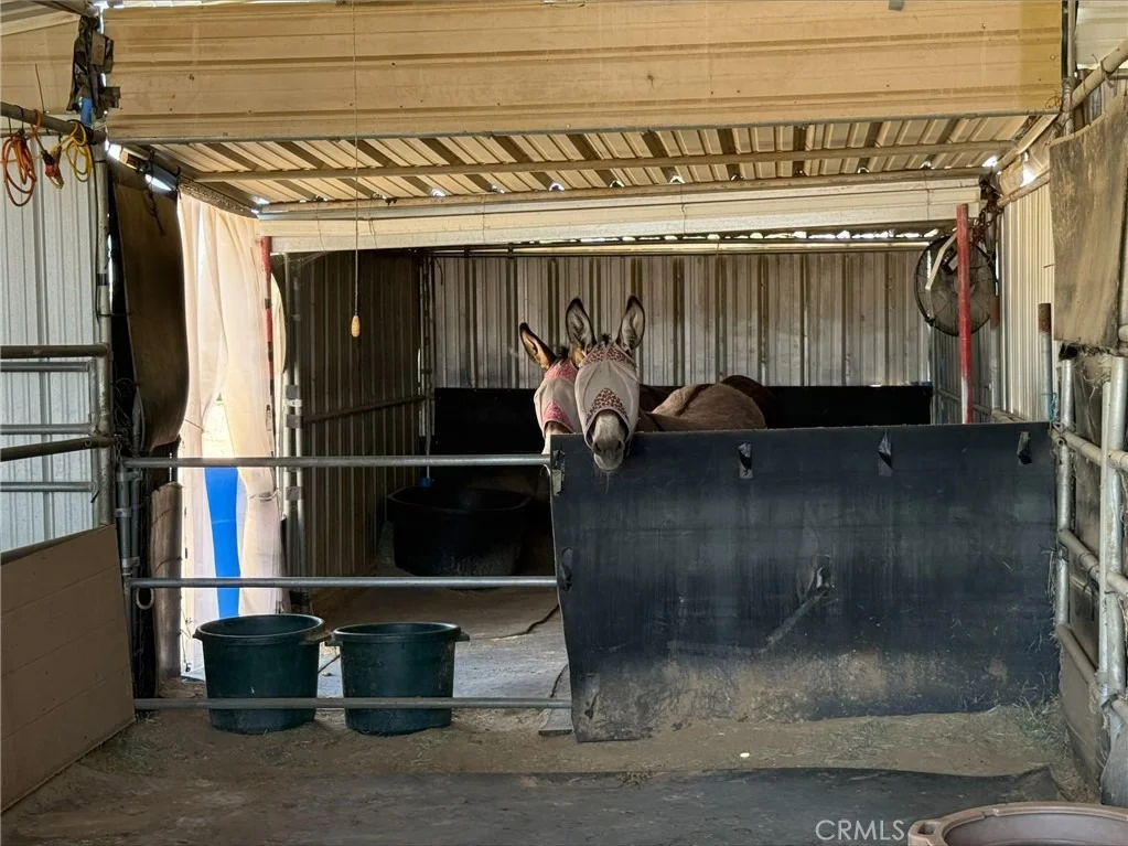 Photo of 6473 Chevoit