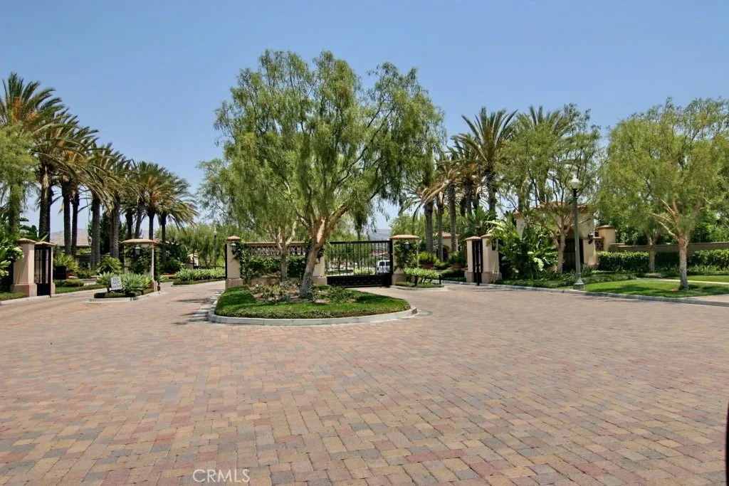 Photo of 41 Carpenteria