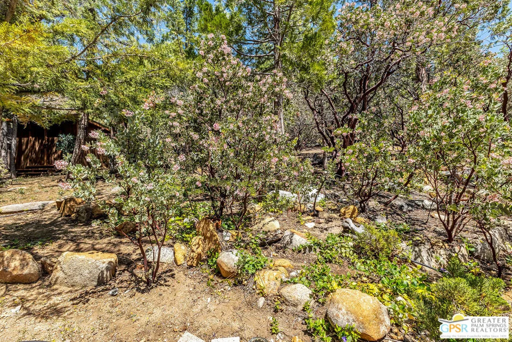 Photo of 55150 San Jacinto Road