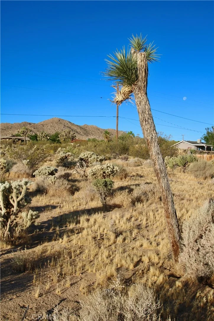 Photo of 60255 Natoma Trail
