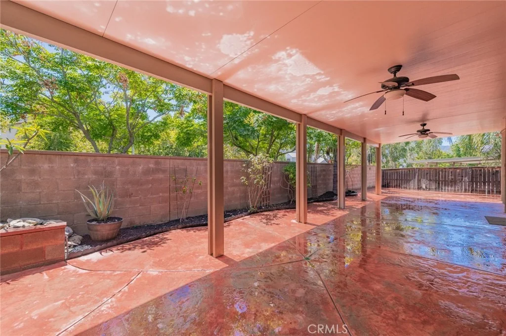 Photo of 25111 Cliffrose