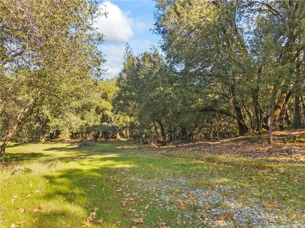 Photo of 1371 Moccasin Trail