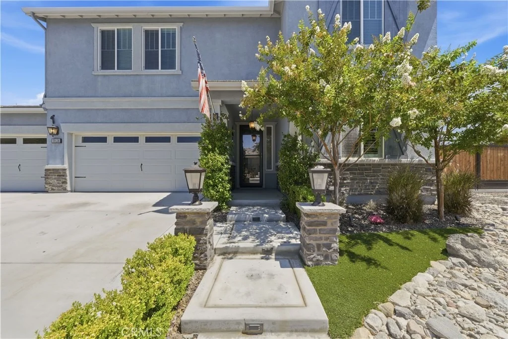 Photo of 29136 Tanoak