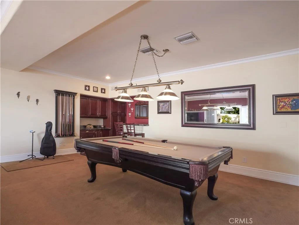 Photo of 49 Saddleback