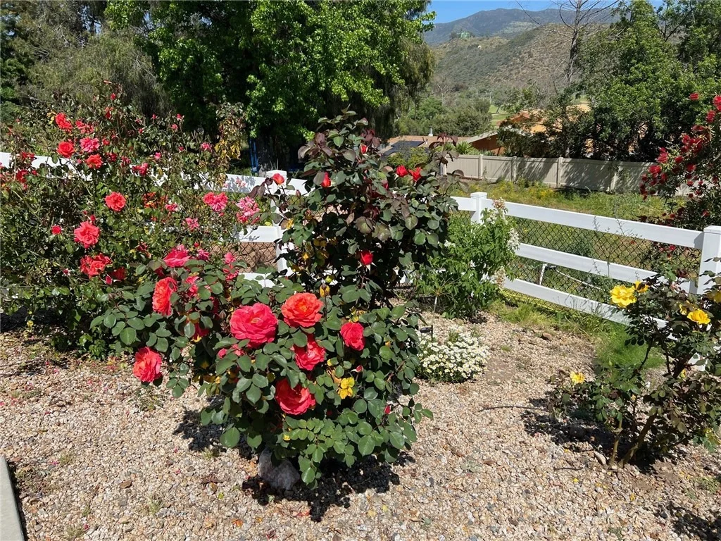 Photo of 2846 Willow Glen Drive