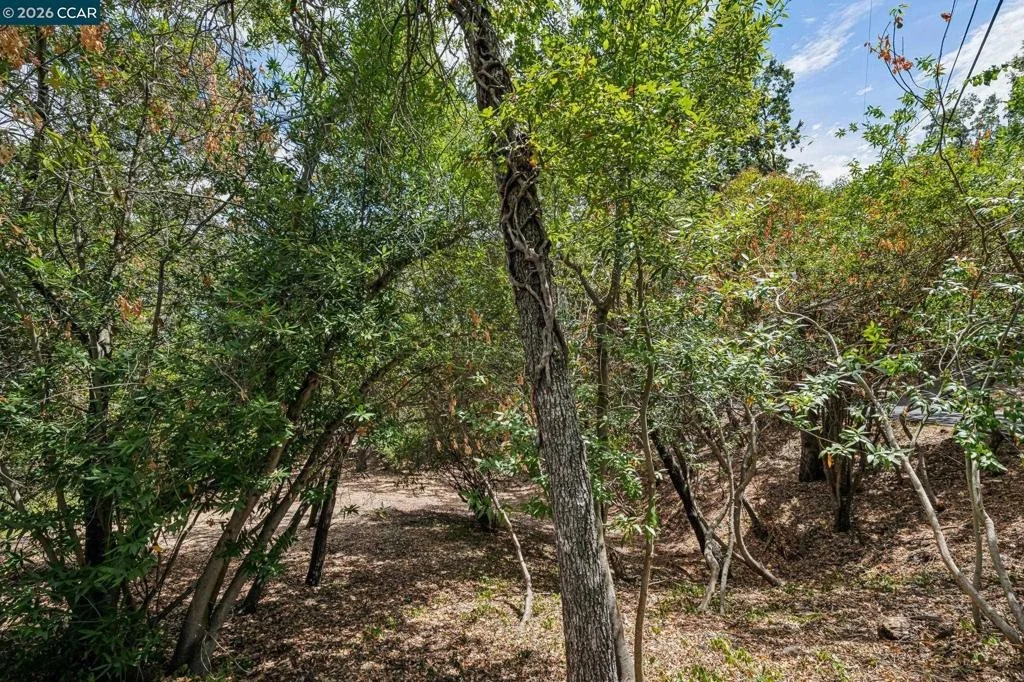 Photo of Ridge Road