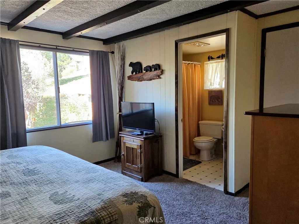 Photo of 42806 Cougar