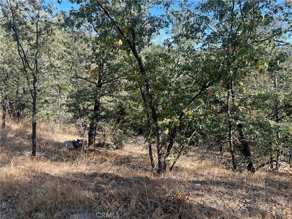 Photo of 0 Lone Pine Dr.